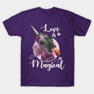 Love is Magical T-Shirt